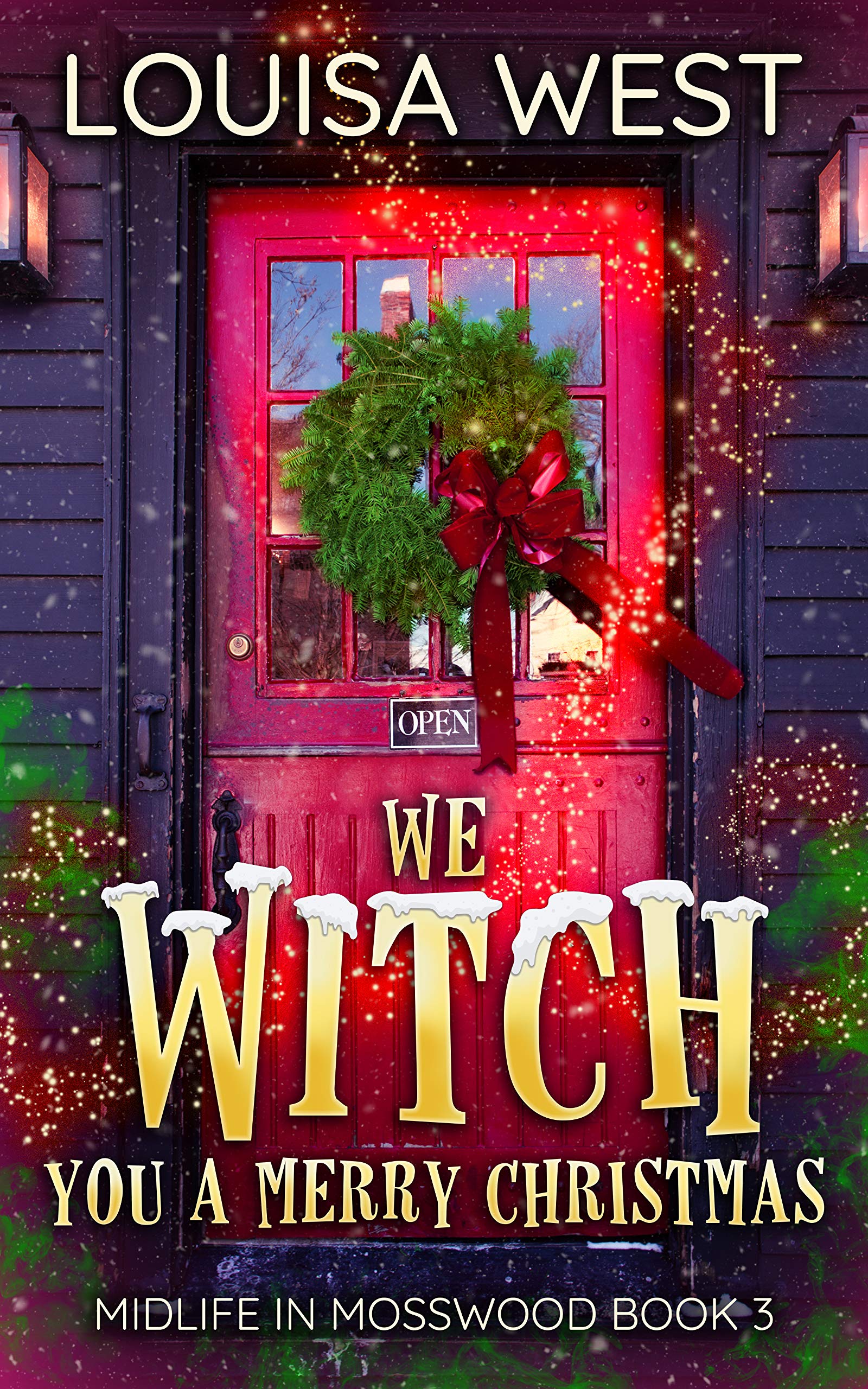 We Witch You A Merry Christmas book cover
