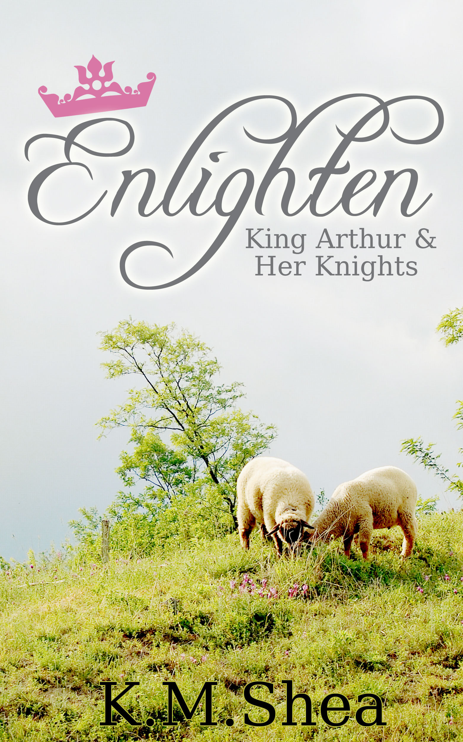 Enlighten book cover