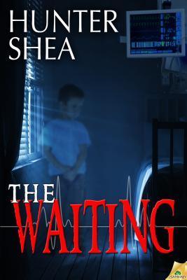 The Waiting book cover