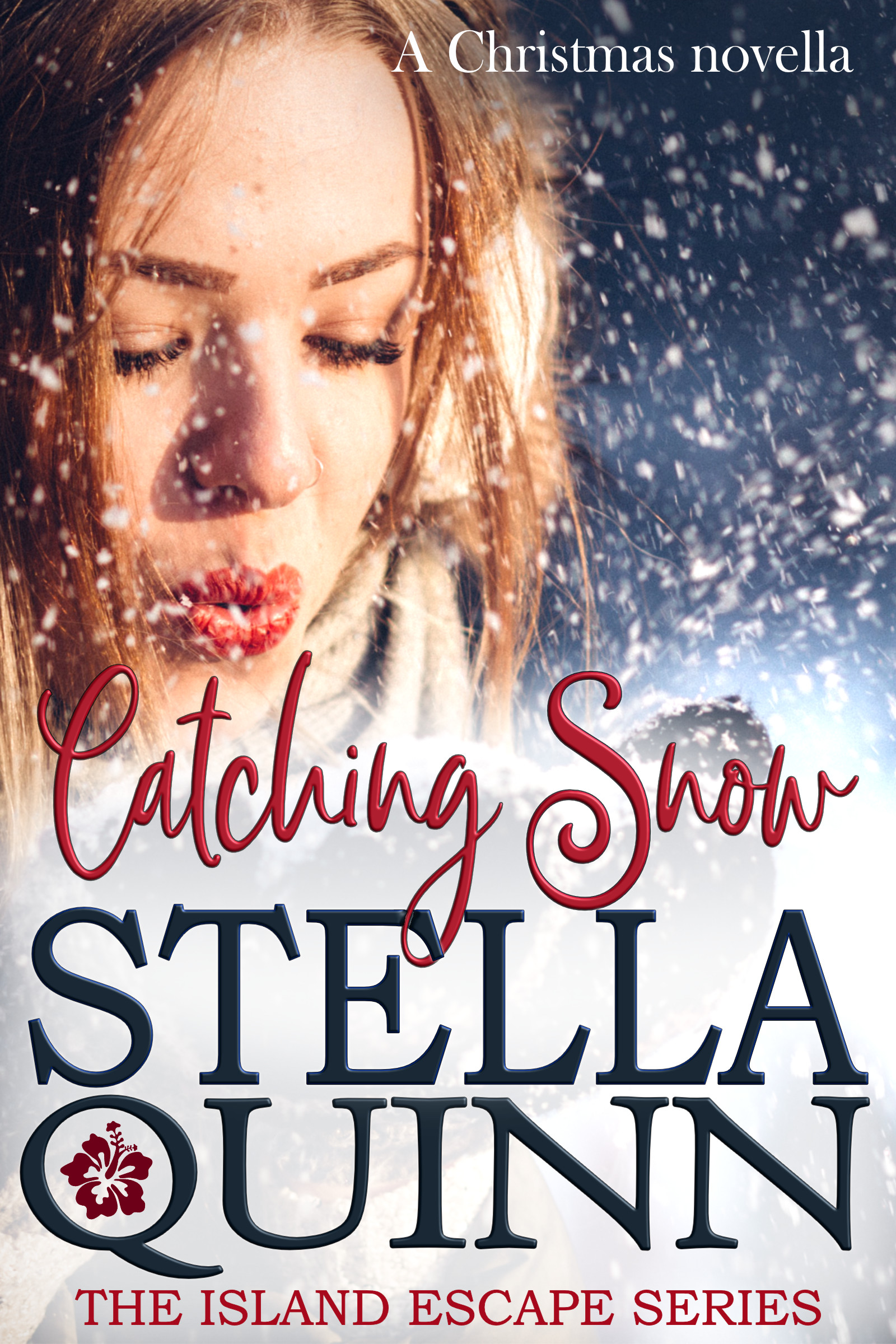 Catching Snow book cover