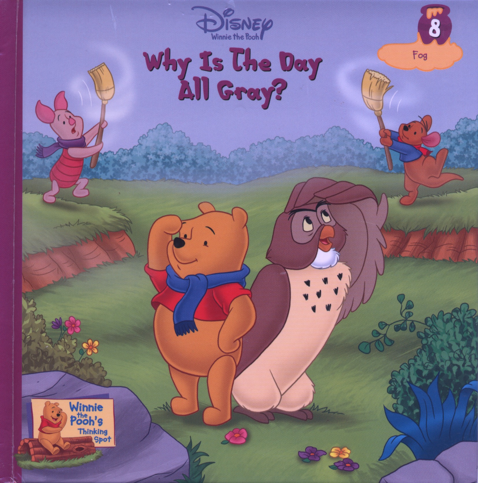 Why Is The Day All Gray? Fog book cover