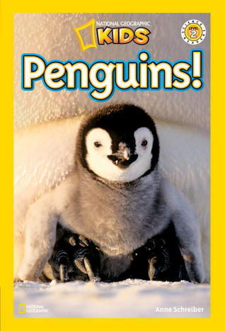 Penguins! book cover