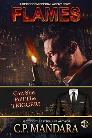 Special Agent BDSM book cover 3