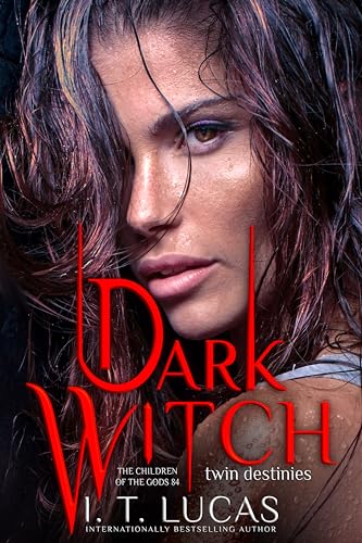 Dark Witch book cover