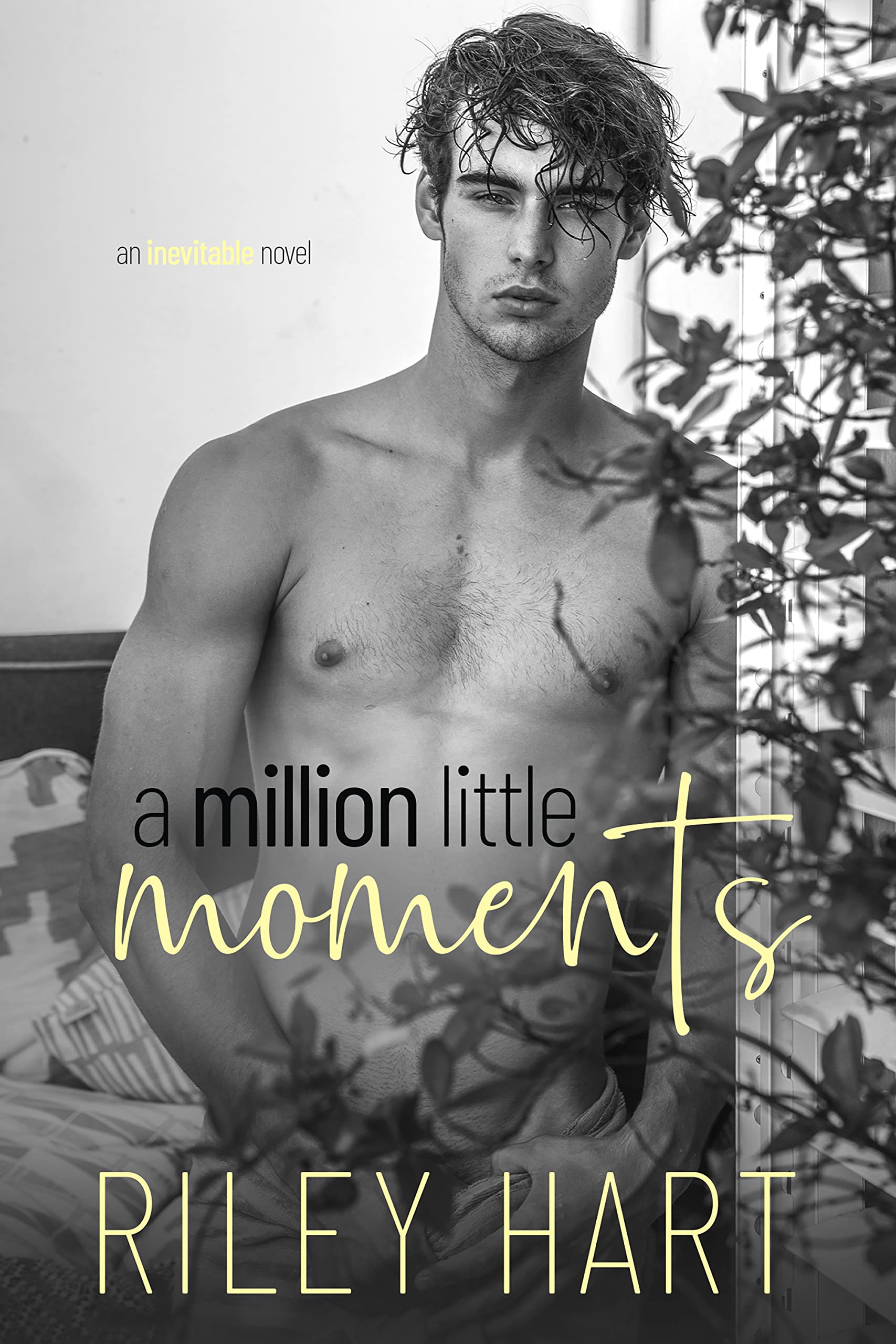 Inevitable book cover 2