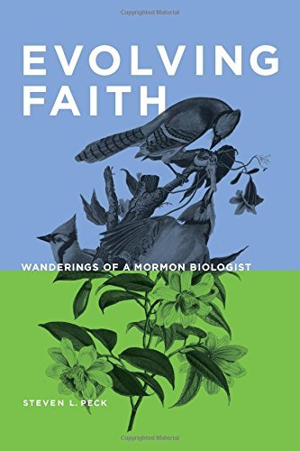 Evolving Faith book cover