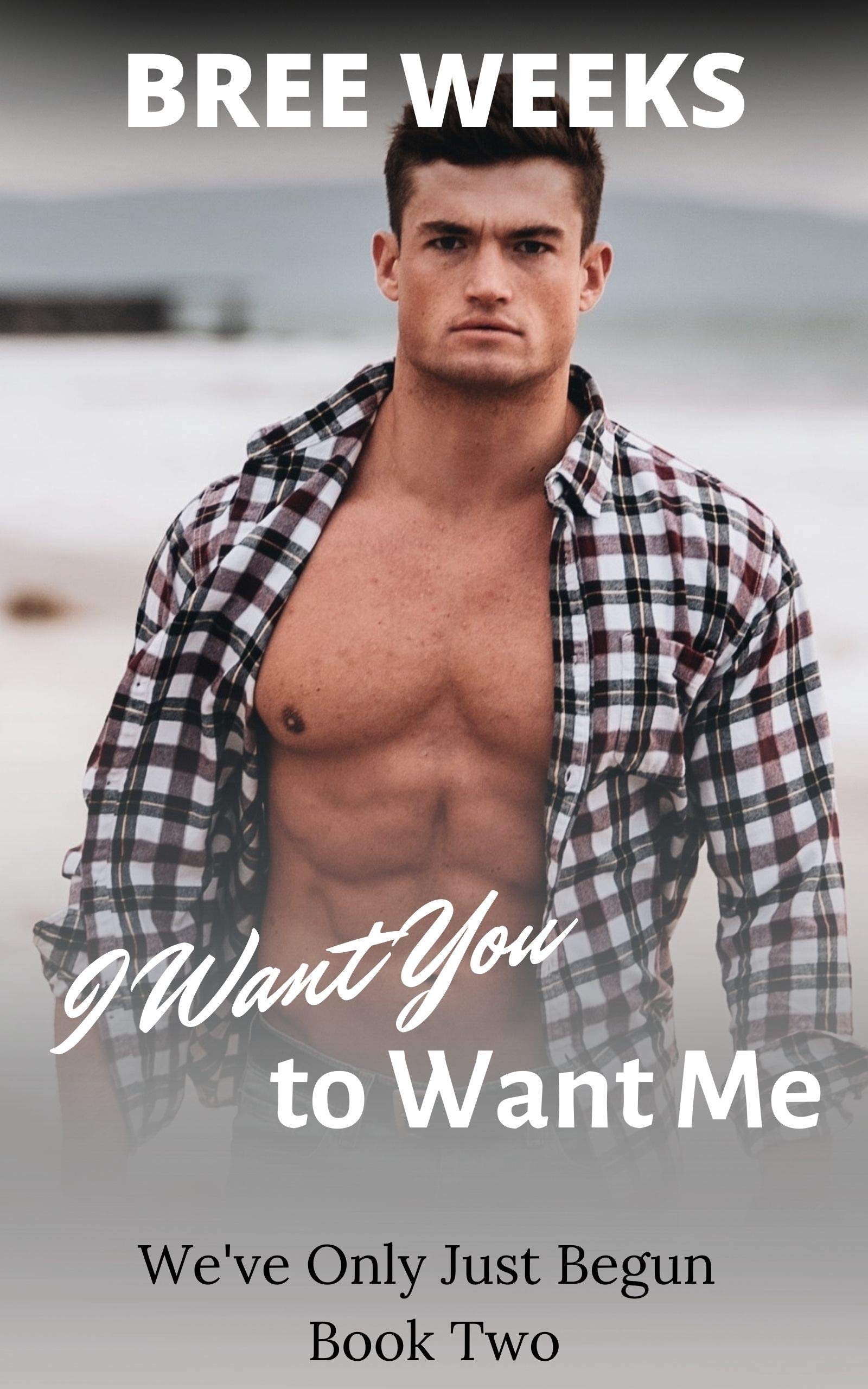 We've Only Just Begun book cover 2