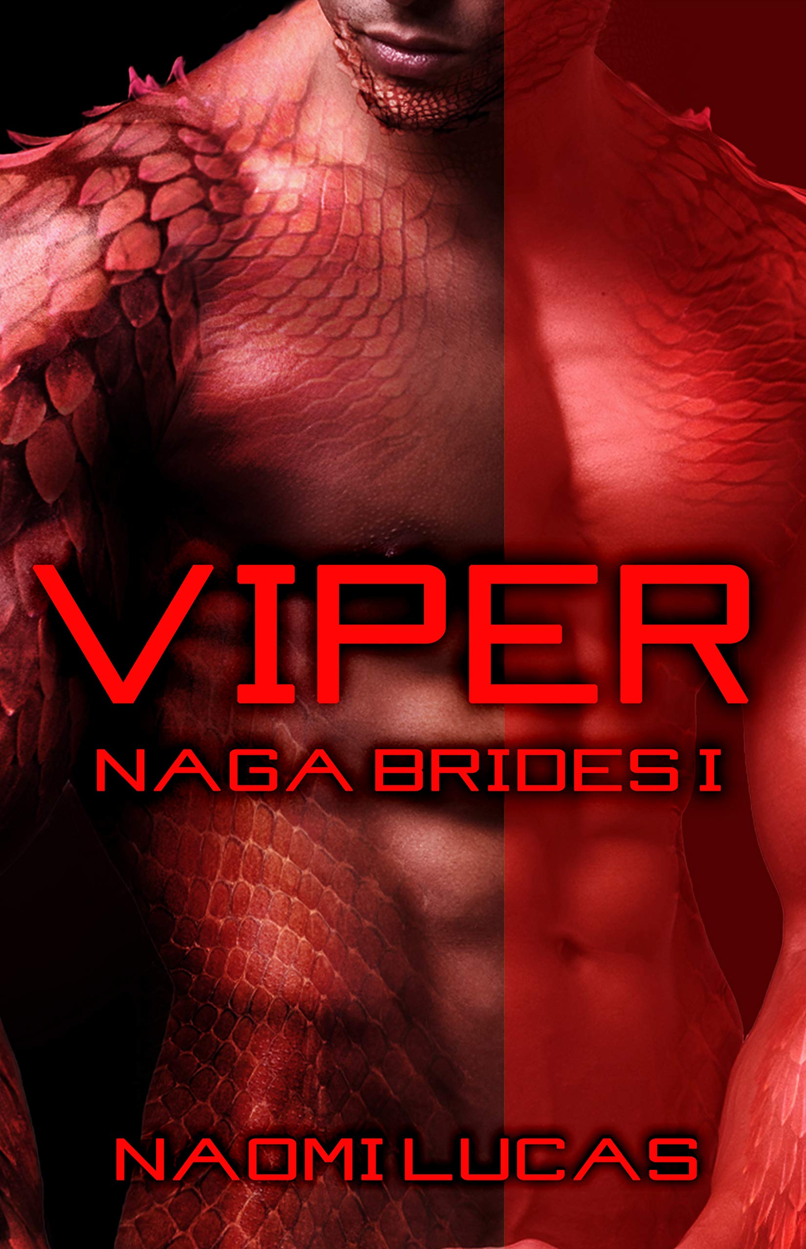 Naga Brides book cover 1