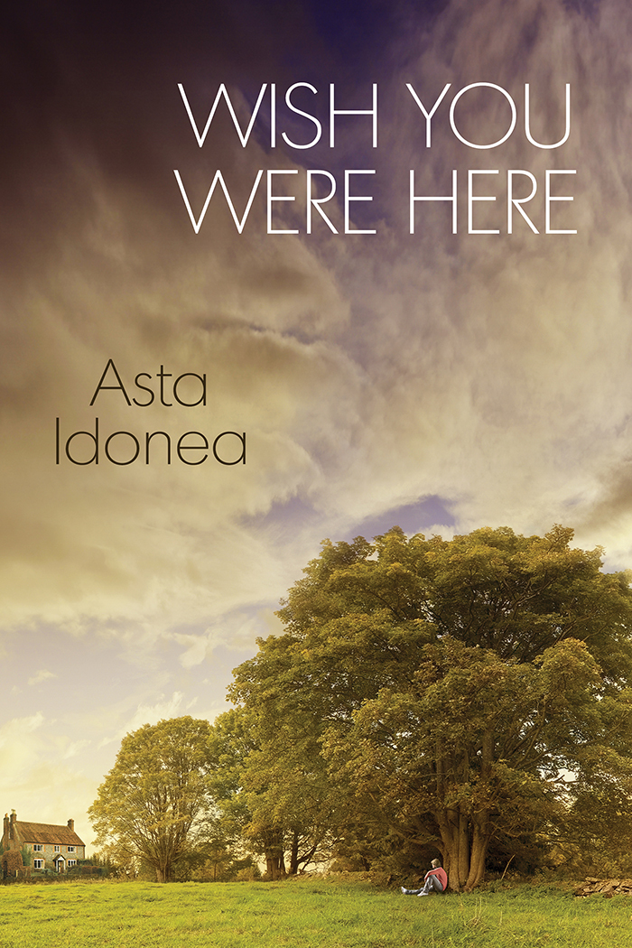 Wish You Were Here book cover