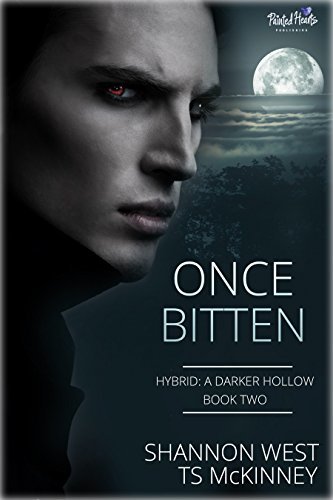 A Darker Hollow book cover 2
