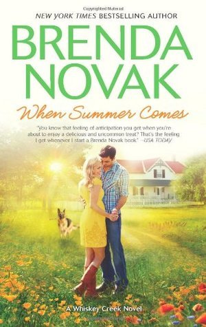 When Summer Comes book cover