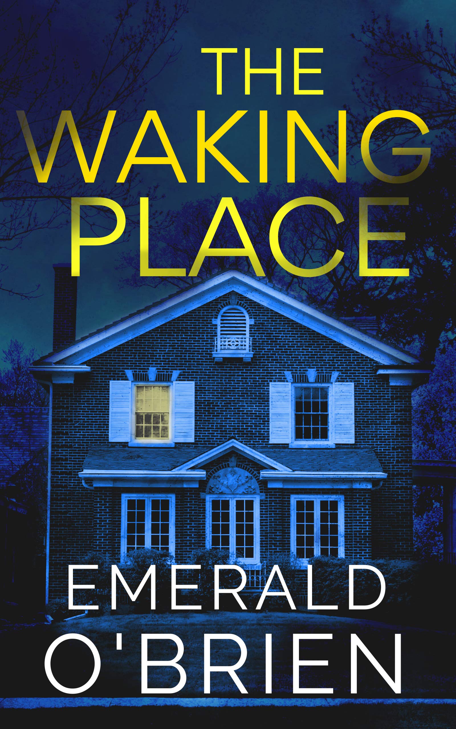 The Waking Place book cover