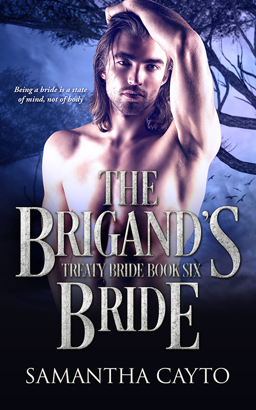 The Brigand's Bride book cover