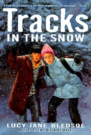 Tracks in the Snow book cover
