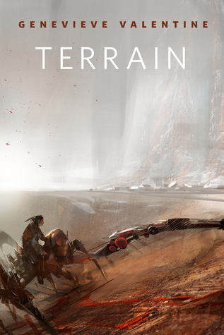 Terrain book cover