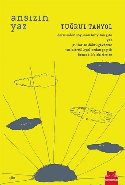 Ansızın Yaz book cover