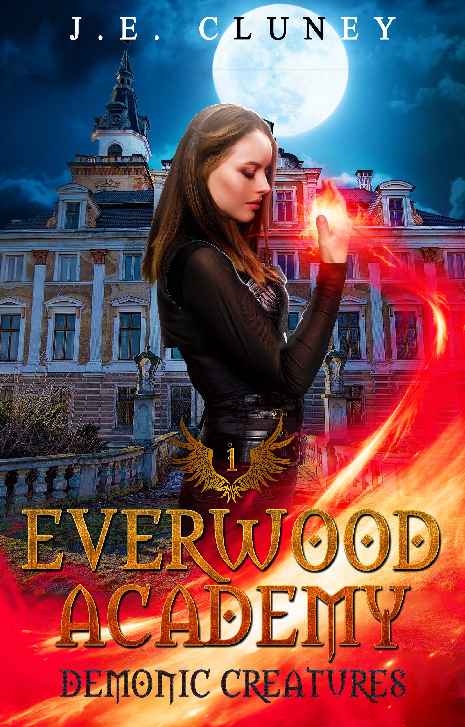 Everwood Academy book cover 1
