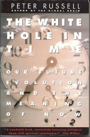 The White Hole in Time Our Future Evolution and the Meaning of Now book cover