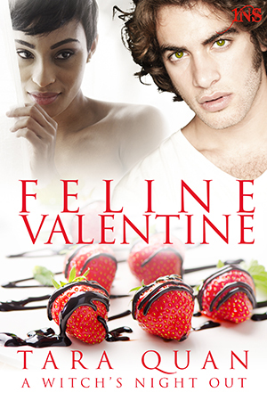 Feline Valentine book cover