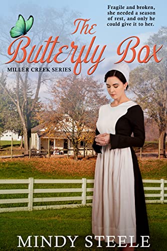 The Butterfly Box book cover