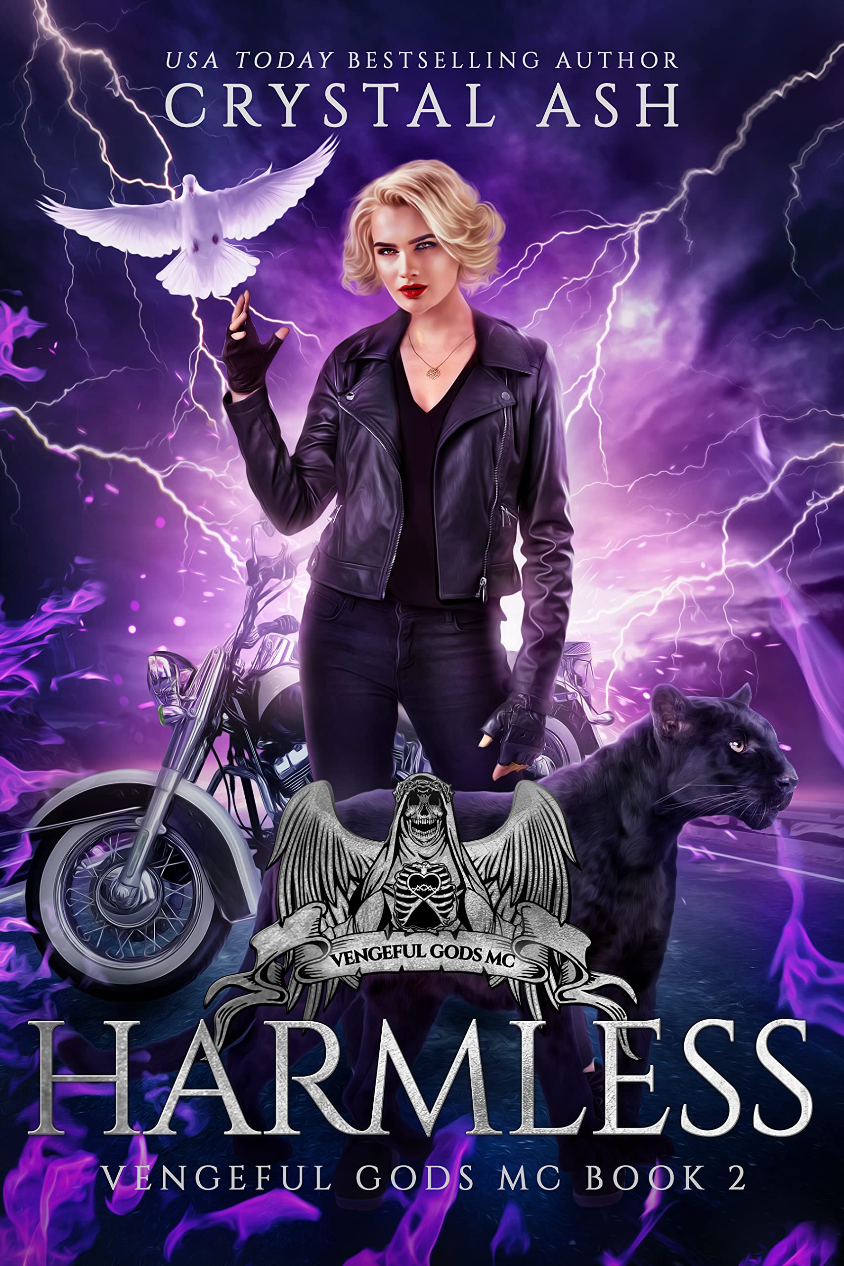 Vengeful Gods MC book cover 2