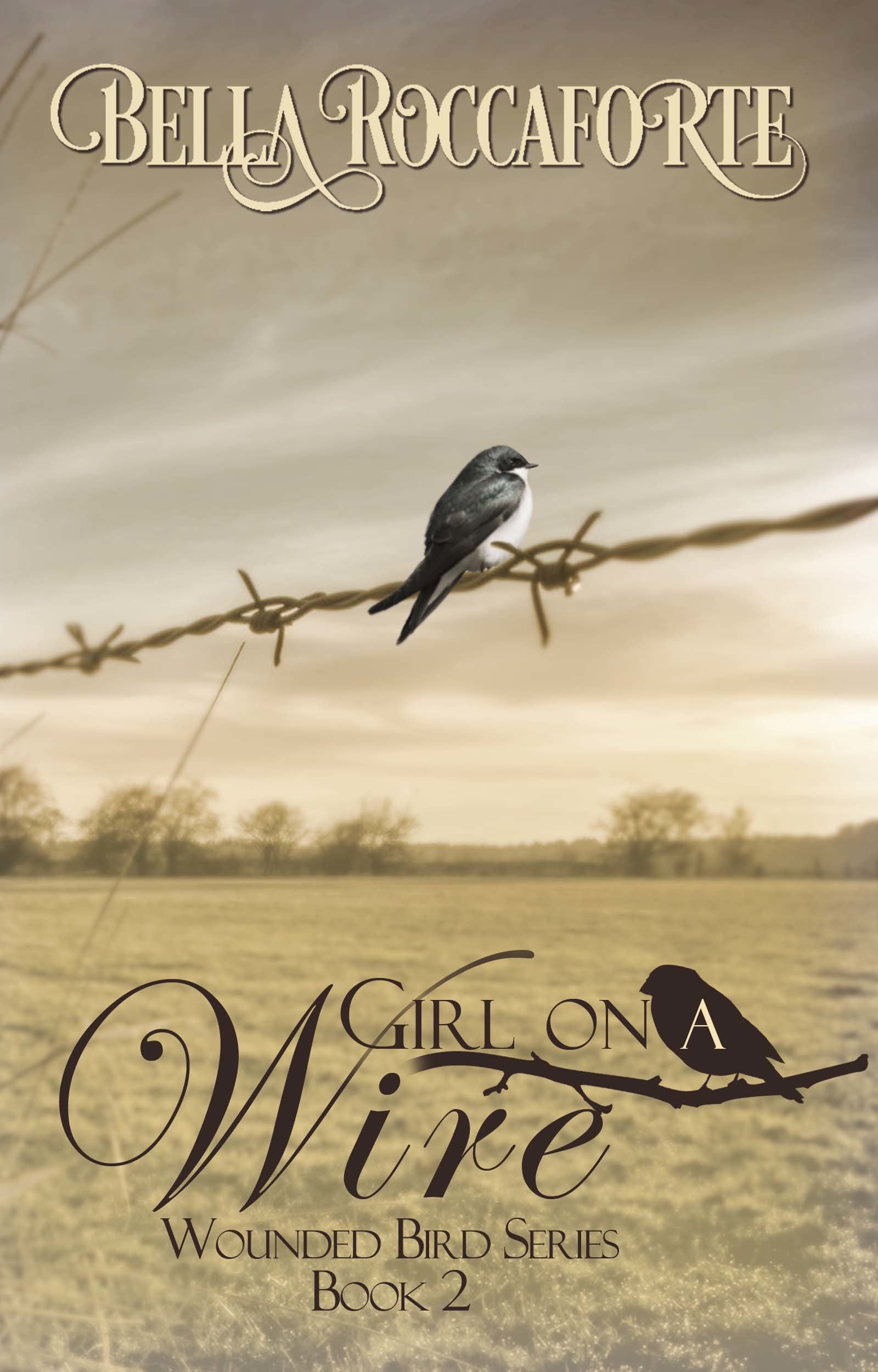 Girl on a Wire book cover