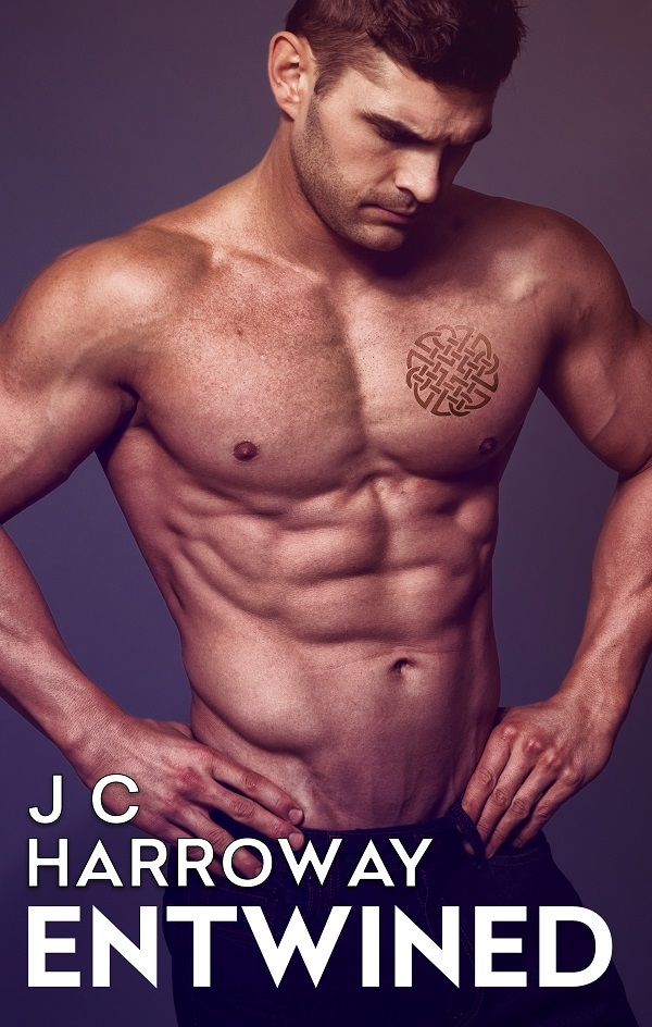 Recovery book cover 2