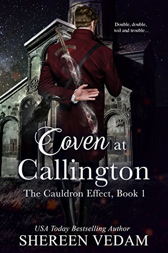 The Cauldron Effect book cover 1