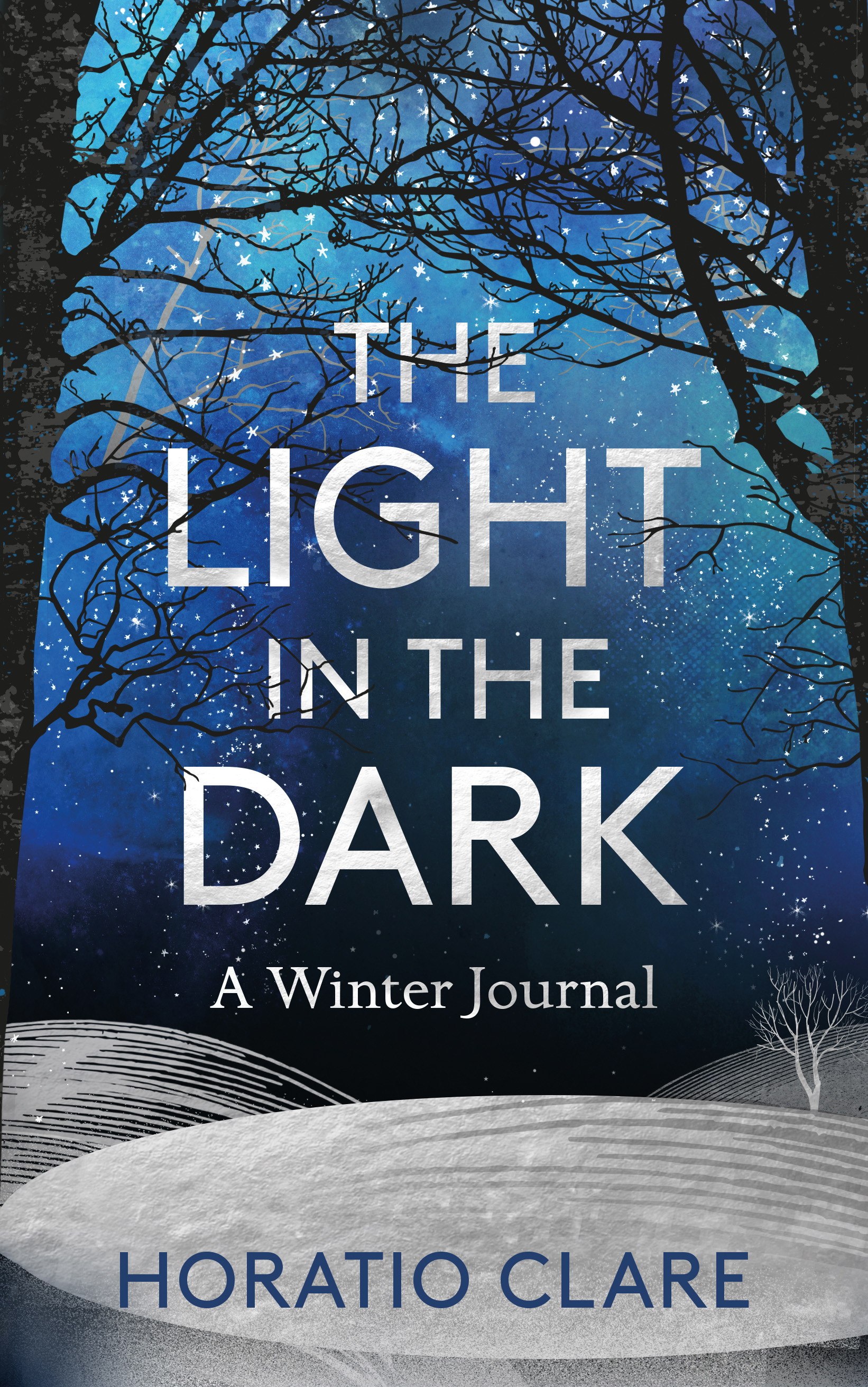 The Light in the Dark book cover