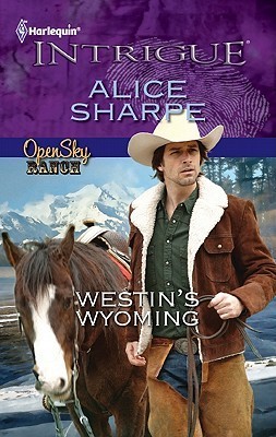Open Sky Ranch book cover 1
