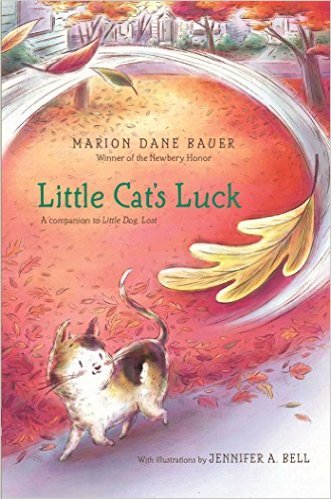 Little Cat's Luck book cover