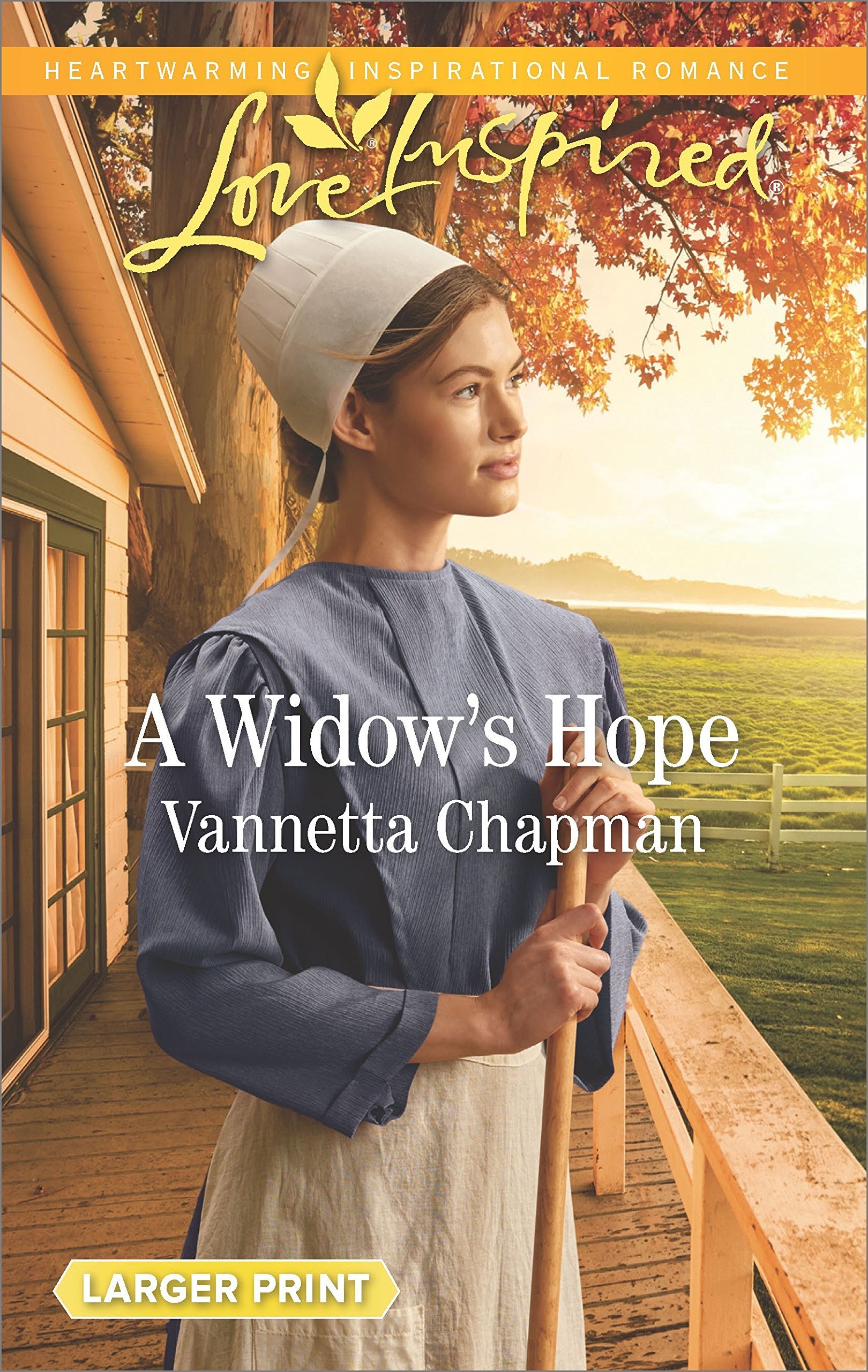 Indiana Amish Brides book cover 1