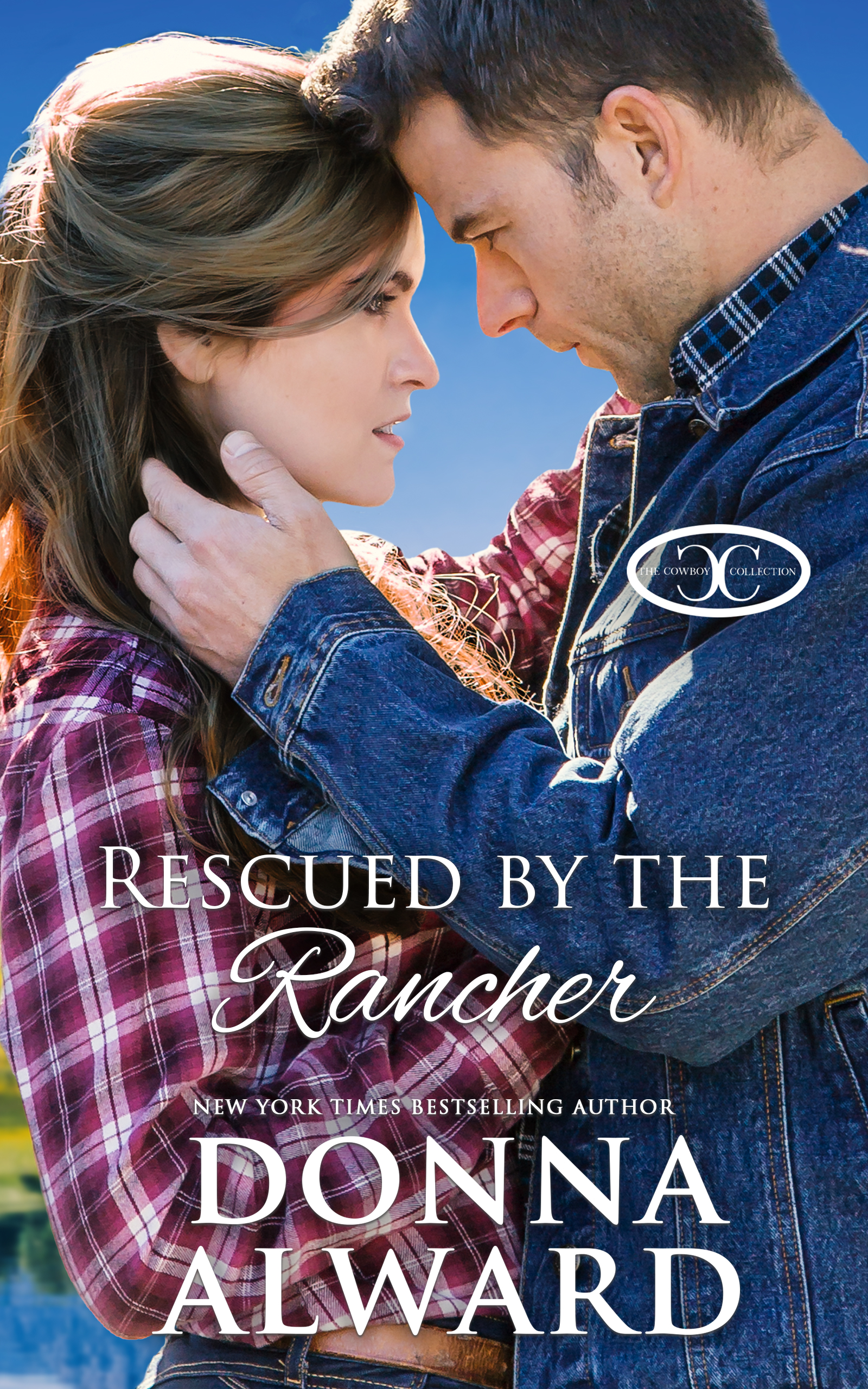 Cowboys & Confetti book cover 1