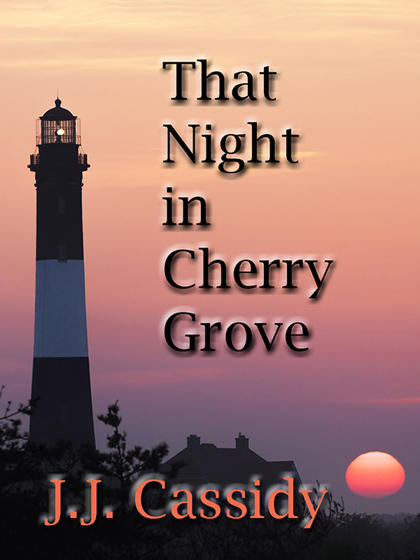 That Night in Cherry Grove book cover