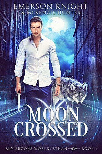 Sky Brooks World: Ethan book cover 1