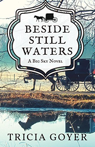 Big Sky book cover 1