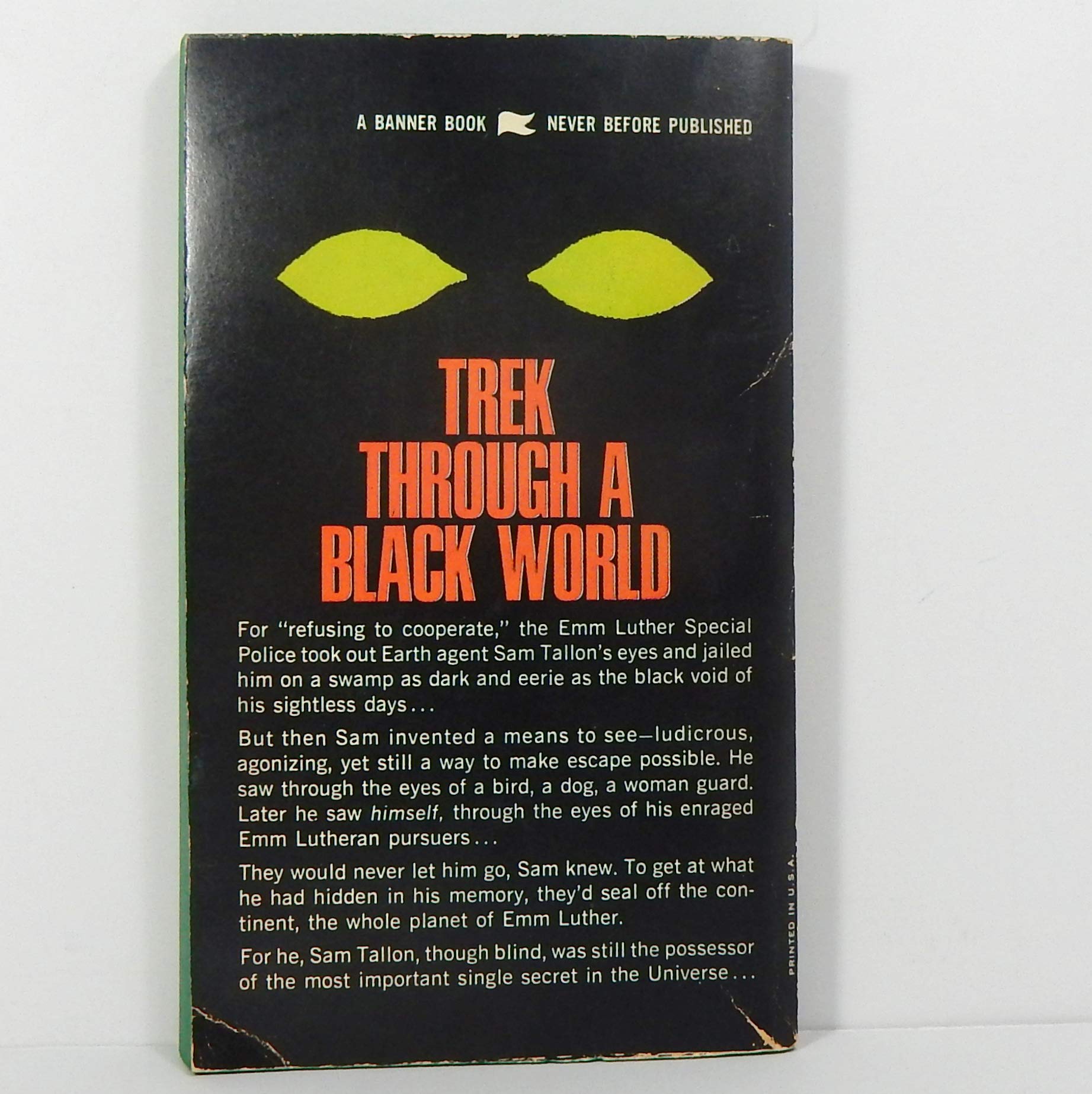 Night Walk book cover