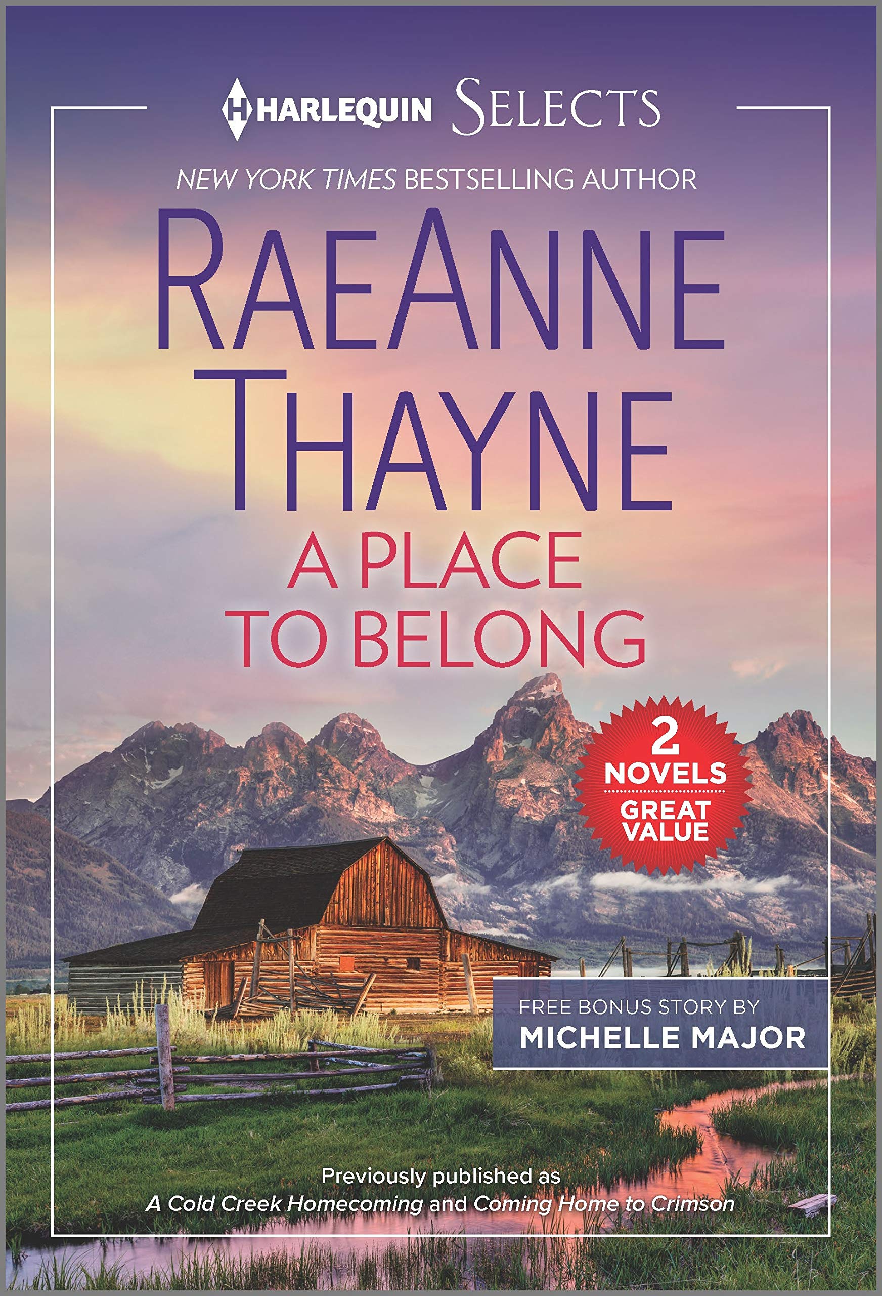 A Place to Belong book cover