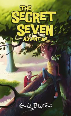 The Secret Seven book cover 2
