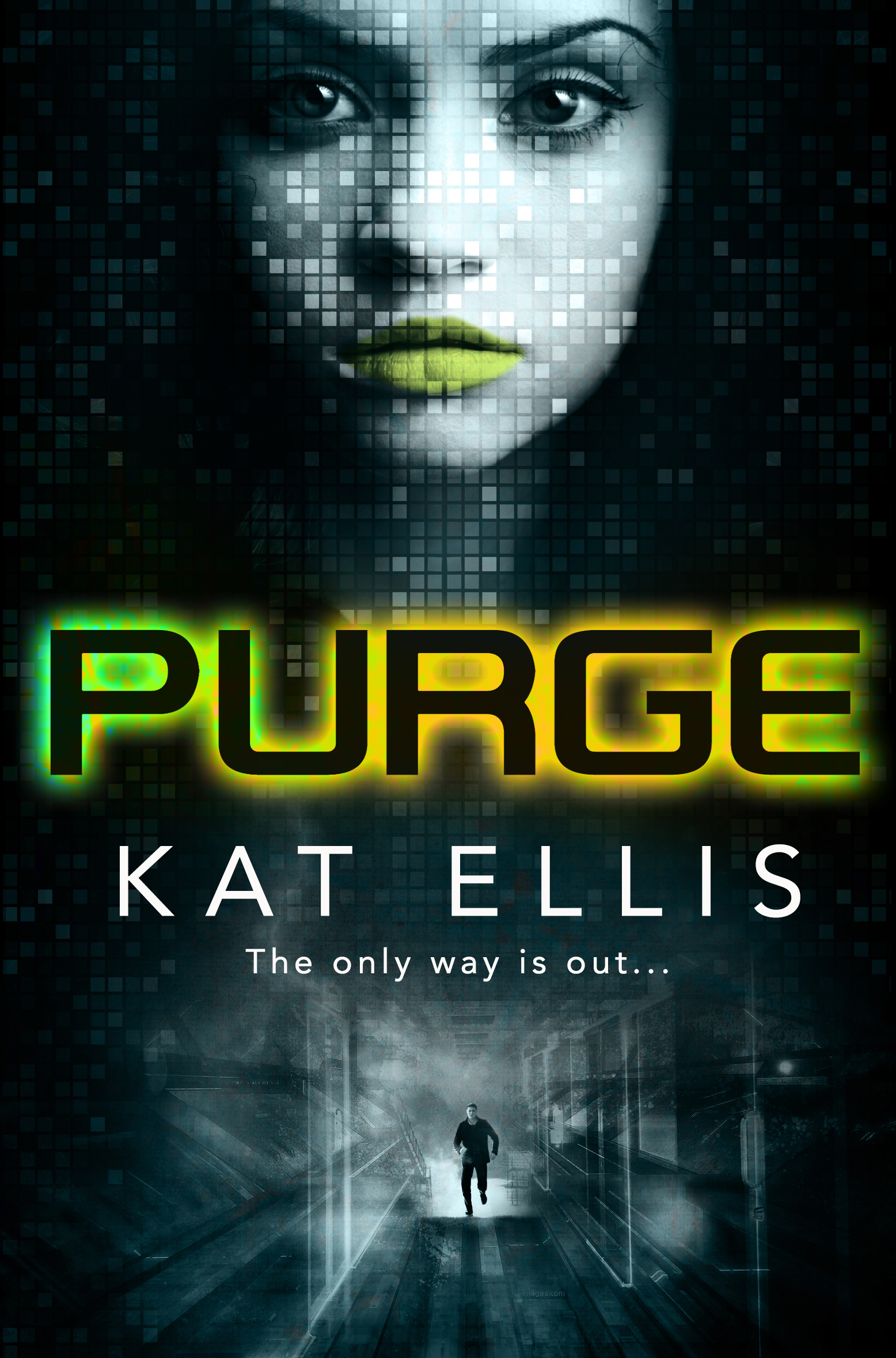 Purge book cover