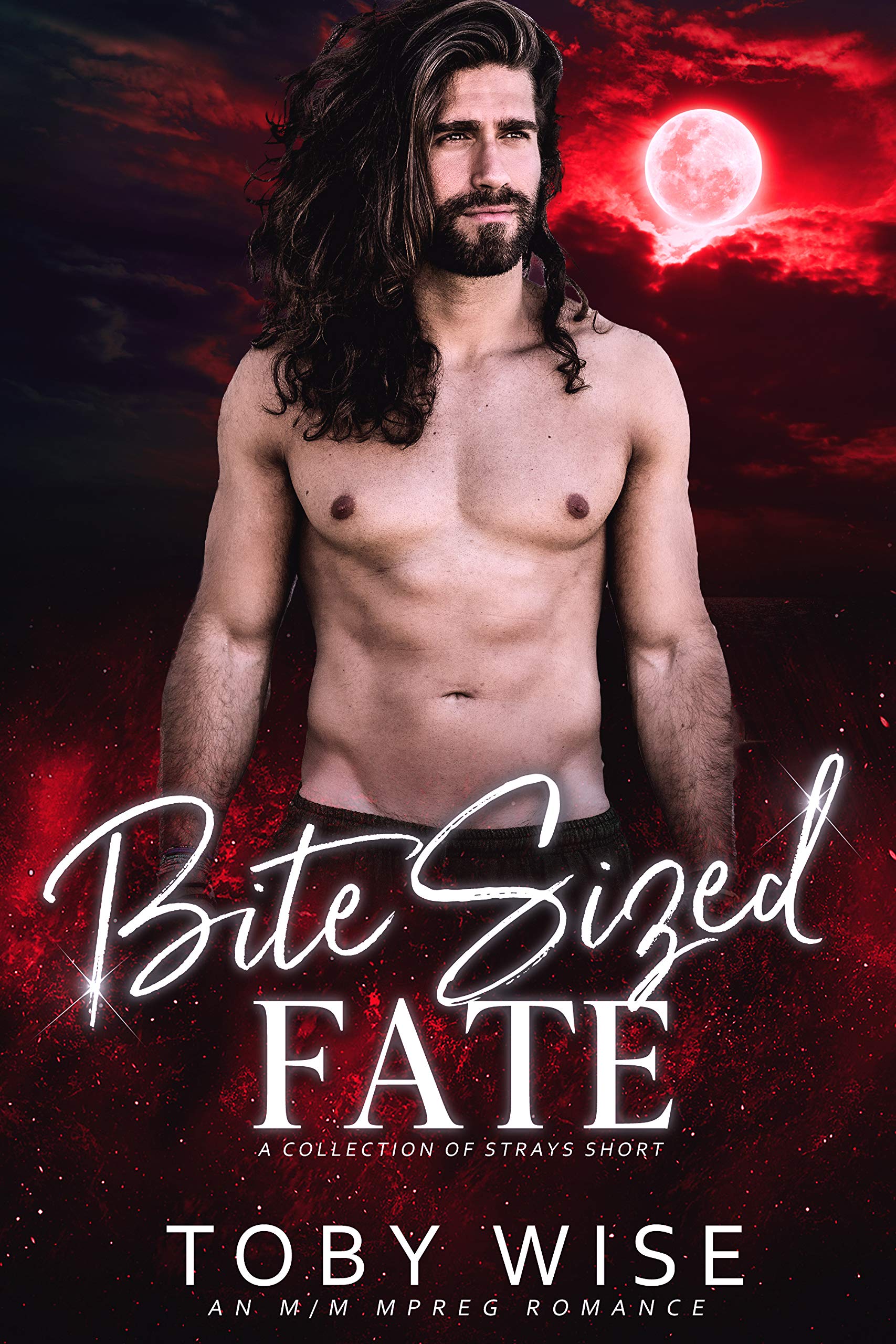 Bite Sized Fate book cover
