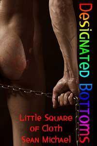 Little Square of Cloth book cover