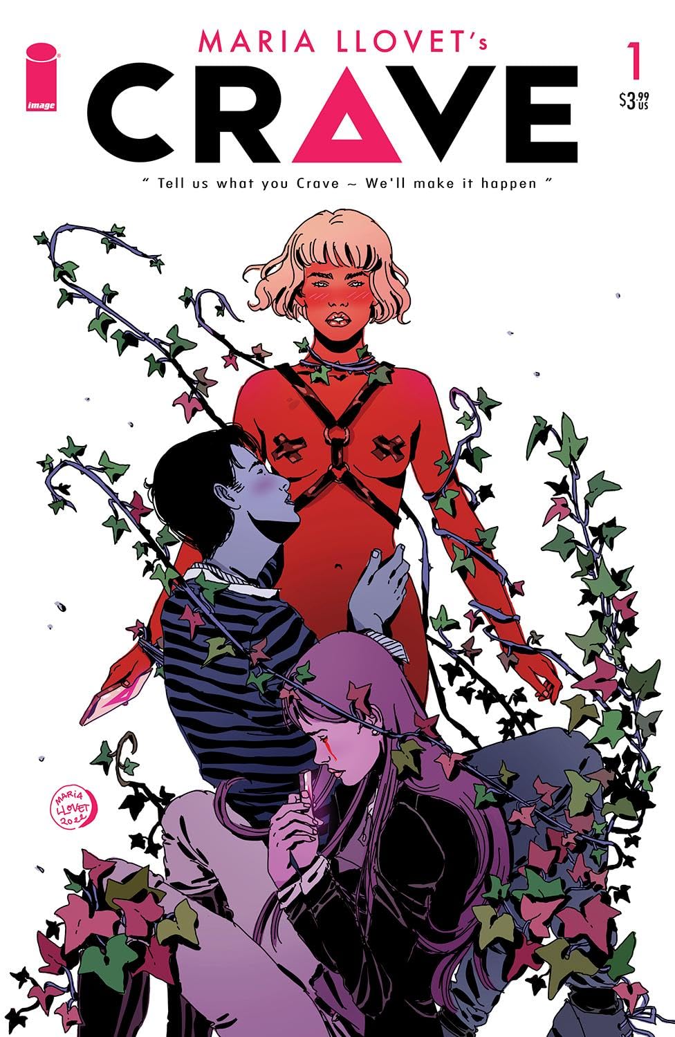 Crave book cover 1