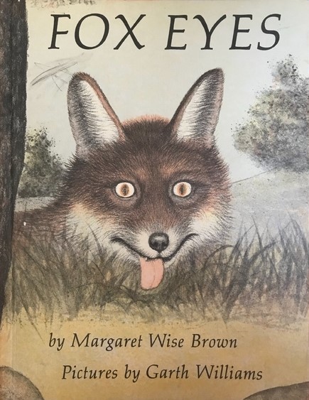 Fox Eyes book cover