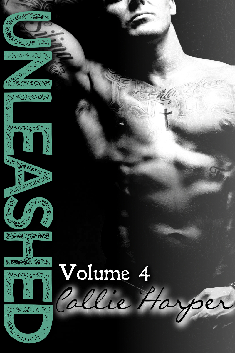 Unleashed book cover