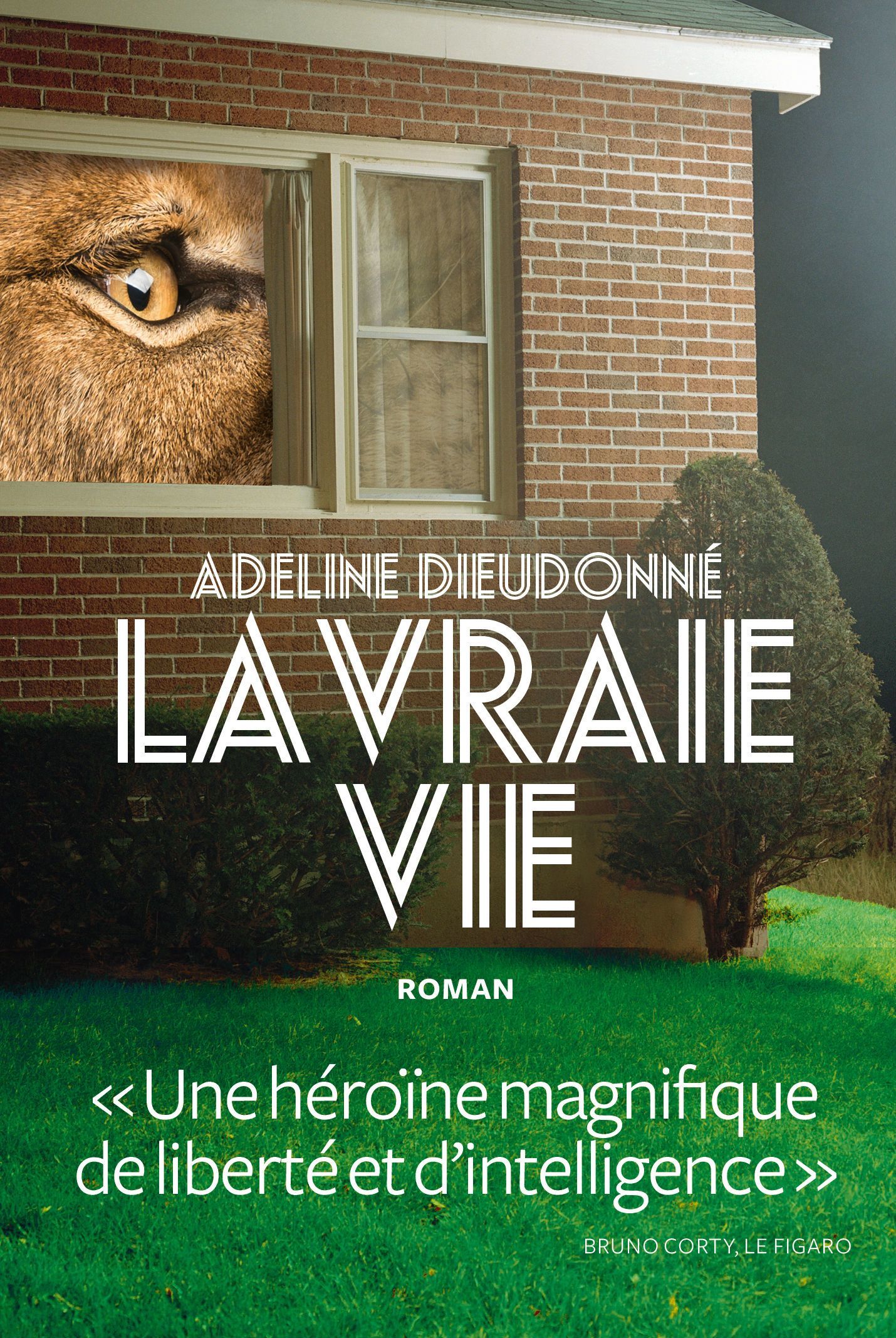 Real Life book cover