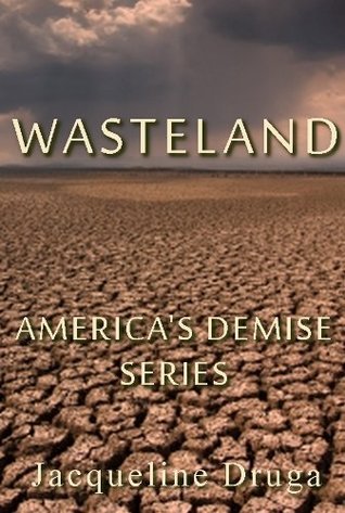 America's Demise book cover 2