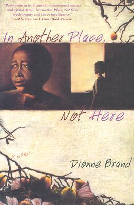 In Another Place, Not Here book cover