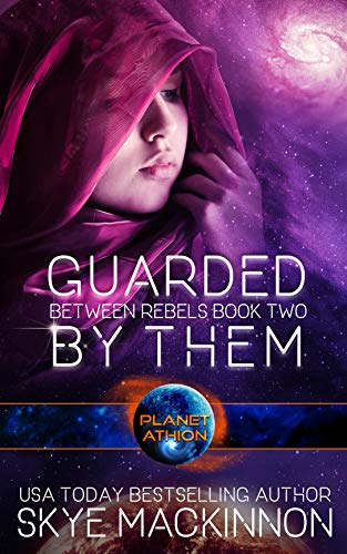 Between Rebels book cover 2