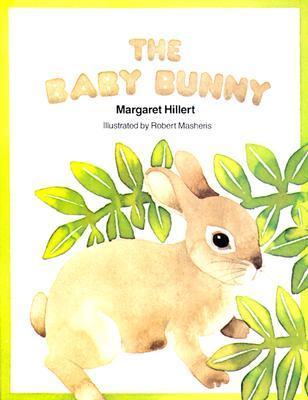 The Baby Bunny book cover